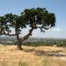 Lime Ridge Open Space Park