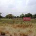 Black Soil Farm - Agriculture Research Station, Tamil Nadu Agriculture University -Koviipatti