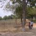 Black Soil Farm - Agriculture Research Station, Tamil Nadu Agriculture University -Koviipatti