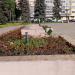 Клумба в городе Красногорск