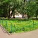 Газон в городе Красногорск
