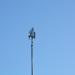 Вышка сотовой связи «Билайн» в городе Петрозаводск
