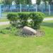 Клумба в городе Гомель