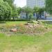 Клумба в городе Гомель