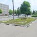 Клумба в городе Гомель