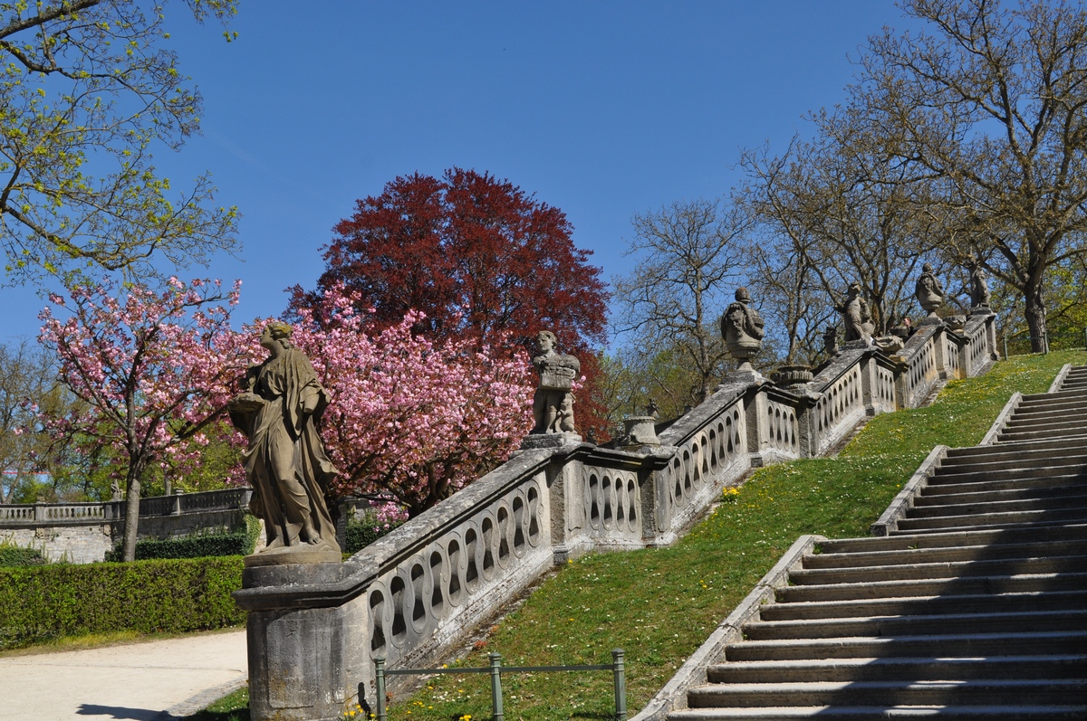 Hofgarten Würzburg