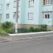 Клумба в городе Гомель