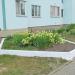 Клумба в городе Гомель