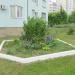 Клумба в городе Гомель