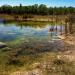 Fakahatchee Strand Preserve State Park