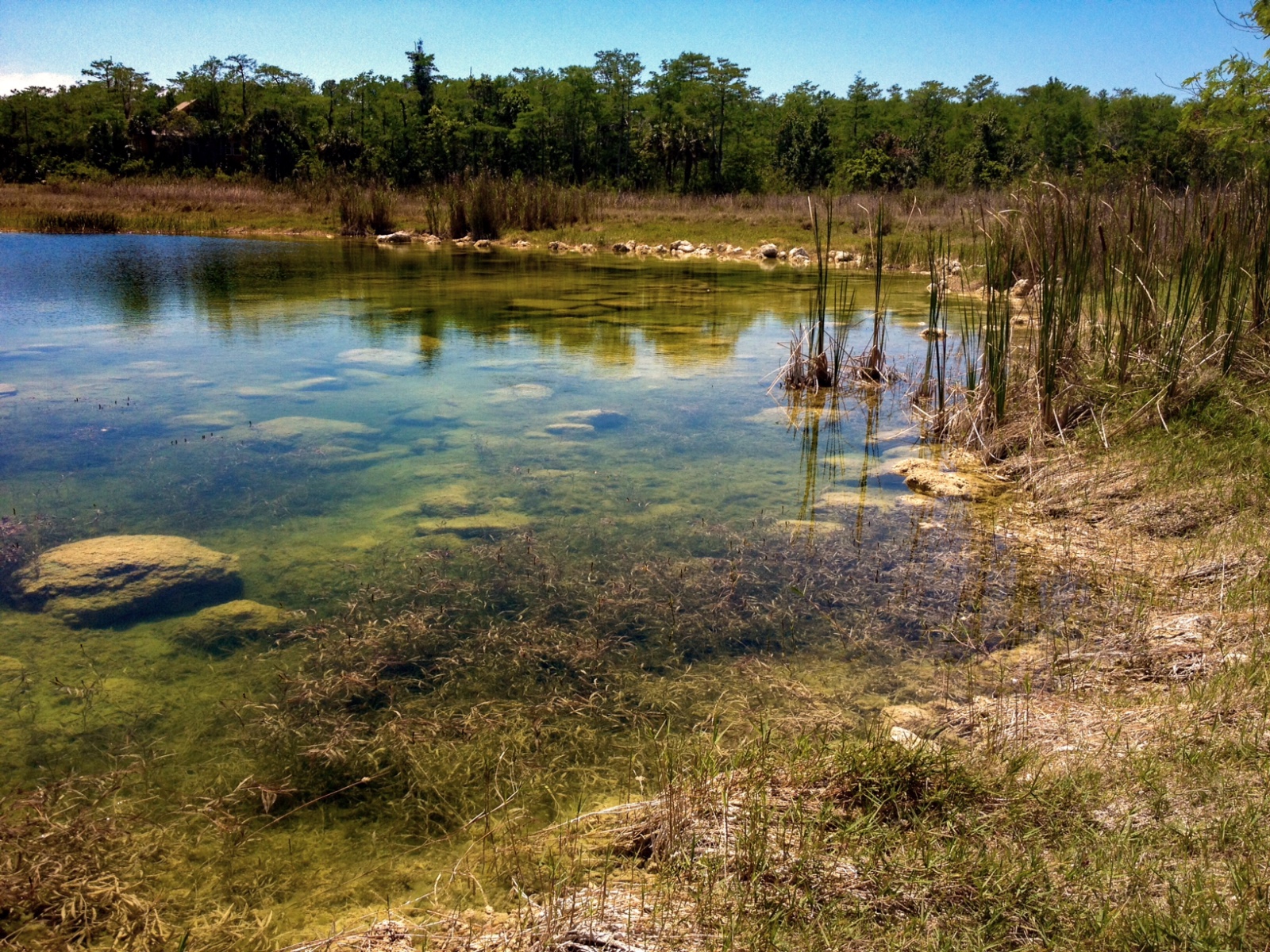 Fakahatchee Strand Preserve State Park