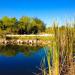 Fakahatchee Strand Preserve State Park