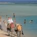 Blue Reef Resort Marsa Alam (4****)