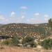 بلدة النعيمه