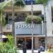 Fossil in Los Angeles, California city