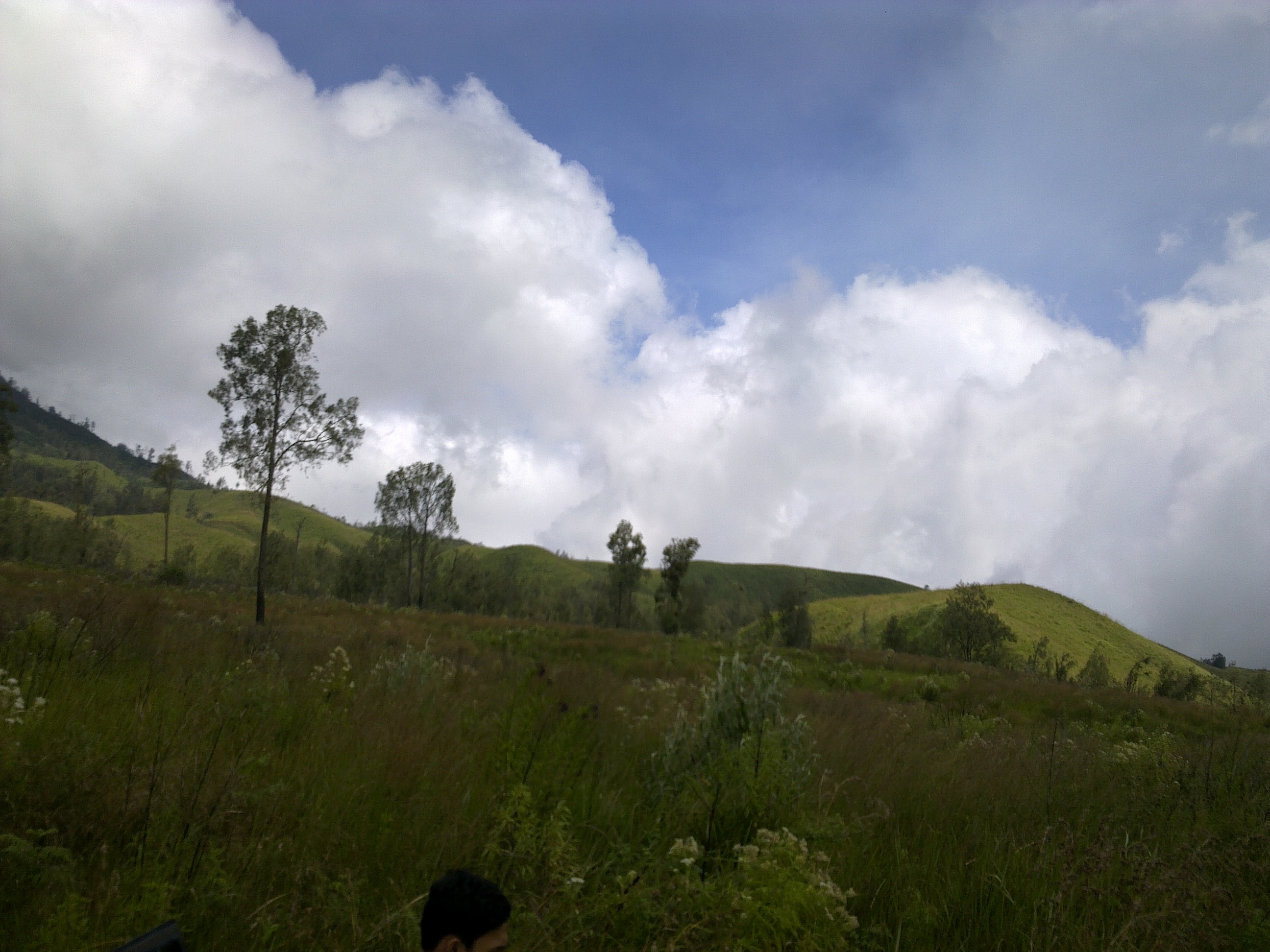 Padang Savana
