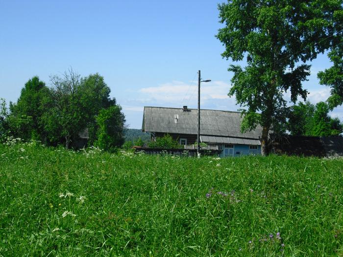Деревня содом кичгородецкого района фото