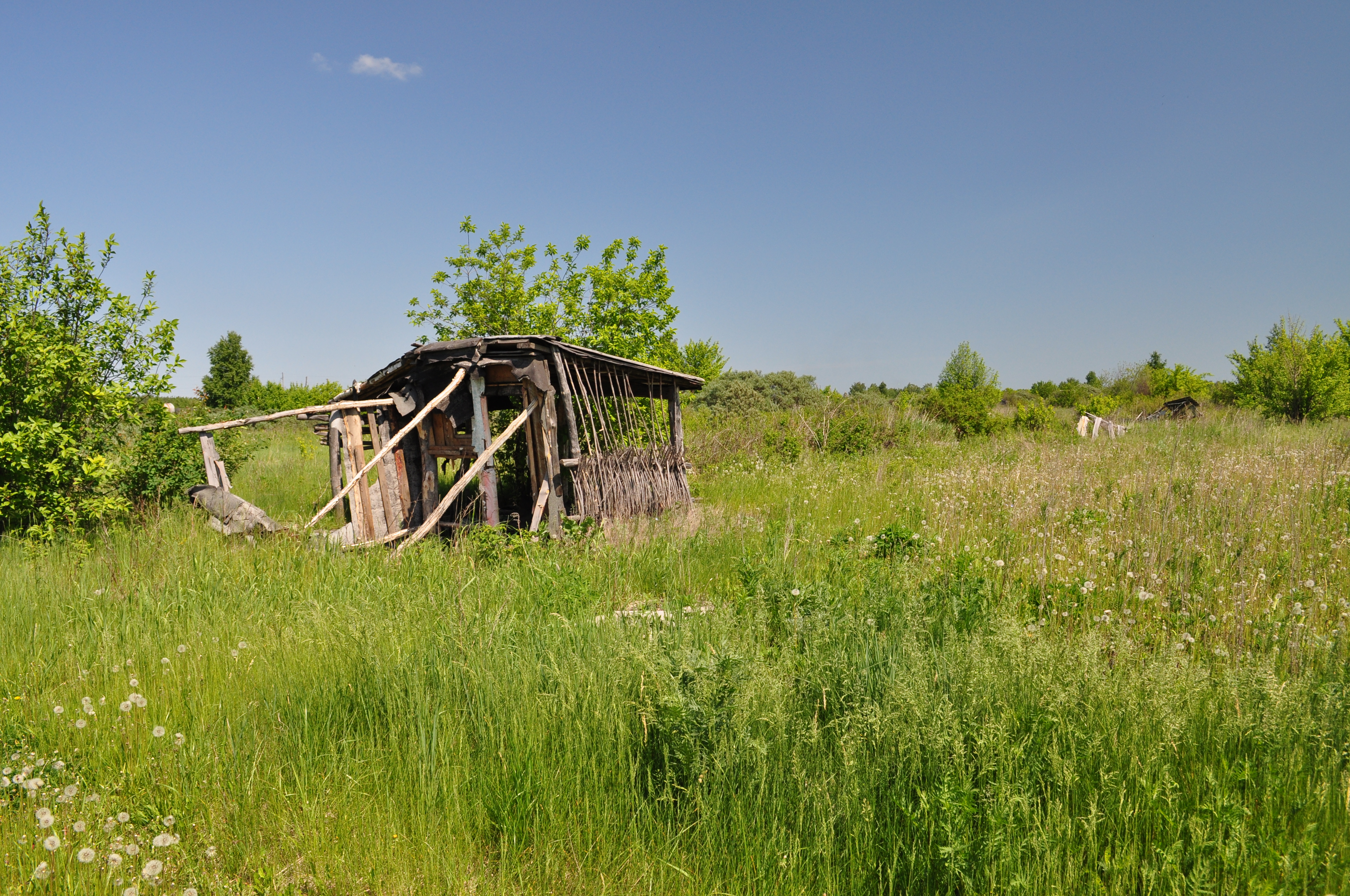 Заброшенные коллективные сады