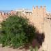 Taroudant walled city