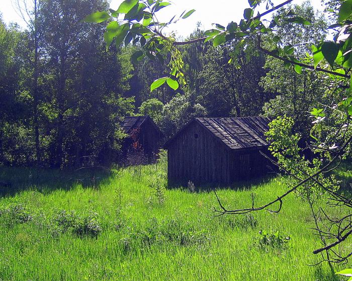 Сарай