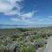 Mono Lake Tufa State Natural Reserve