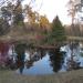 Pond in Ogre city