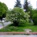 Park, Kütahya (tr) in Kütahya city