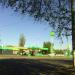 Petrol station WOG in Zhytomyr city