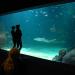 Universeum in Göteborg city