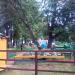 Детские аттракционы (ru) в місті Дєдовськ