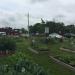 Wyandotte Community Garden