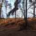 Холм в городе Лыткарино