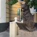 Памятник Учёному коту в городе Оренбург