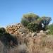 Nuraghe Passarinos