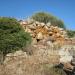 Nuraghe Passarinos