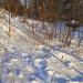 Холм в городе Лыткарино