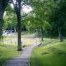 Park dworski in Gdynia city