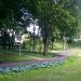 Park dworski in Gdynia city