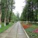 Аллея в городе Королёв