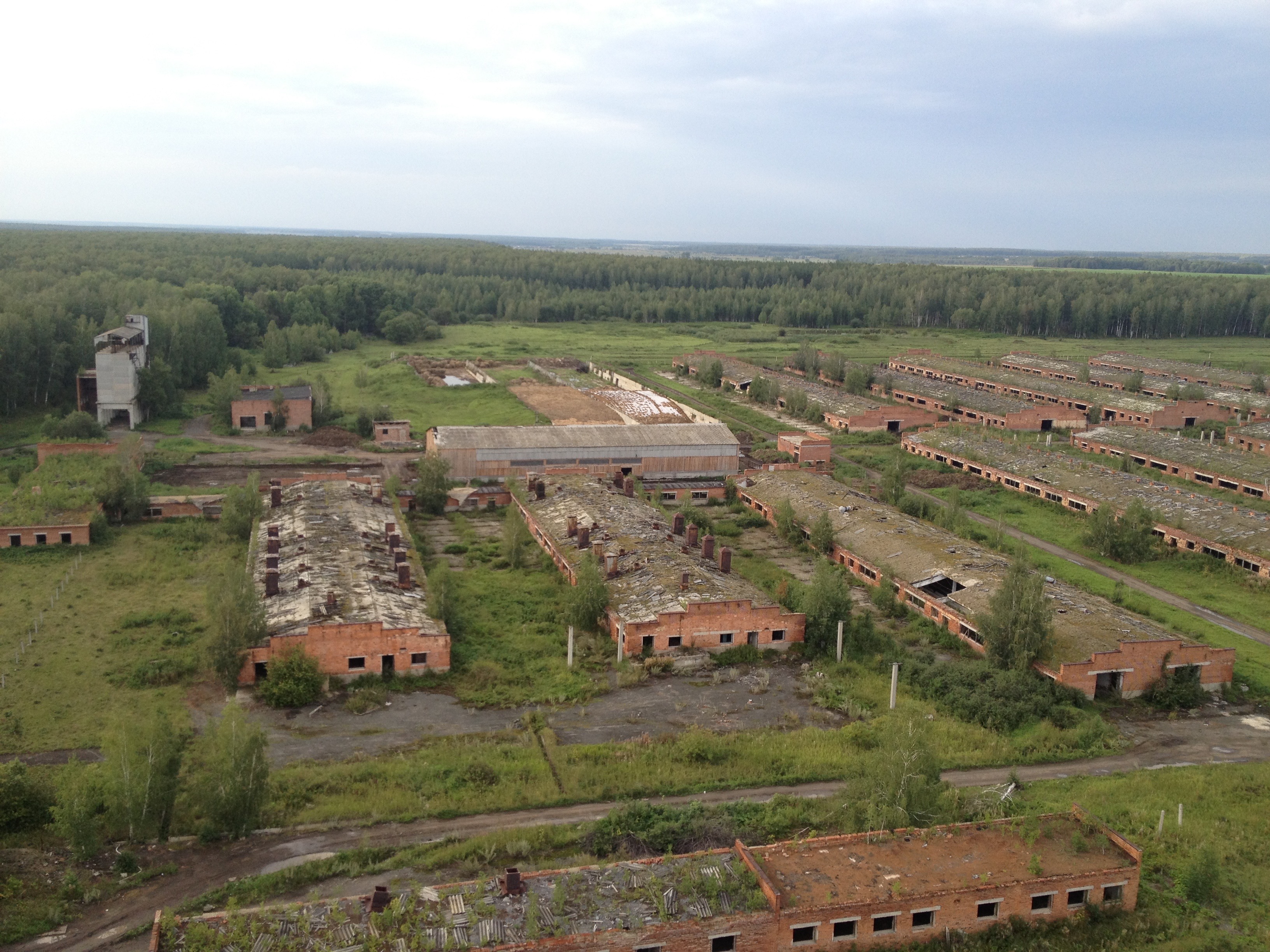 Заброшенные фермы поля федькофки Свердловской области