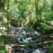 Bridal Veil Falls State Park