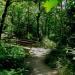 Bridal Veil Falls State Park