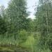 pond