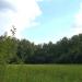 Остатки лесничего кордона в городе Лыткарино
