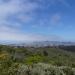 San Bruno Mountain State and County Park