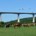 Kőröshegy Bridge