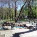 Центральная аллея Городского сада (ru) in Mariupol city