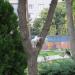 Парк (ru) in İstanbul Büyükşehir Belediyesi city