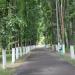 Автозаводский парк культуры и отдыха (ru) in Nizhny Novgorod city