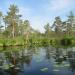 Lake Paynskoye